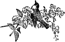 Живые примеры<br />(Рассказы для детей младшего возраста) - i_045.png