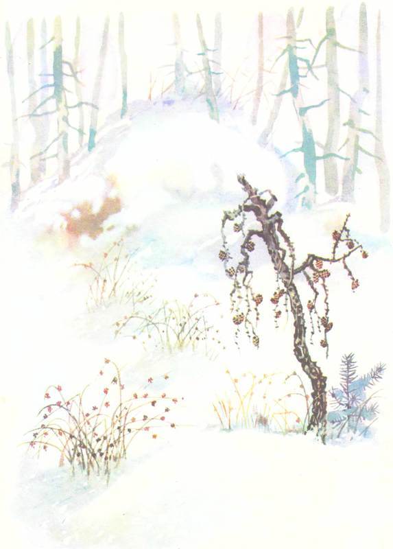 Зимовье на Студеной - i_001.jpg