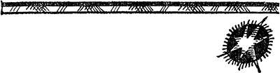 Далекие горнисты<br />(Повести и рассказы) - i_022.png