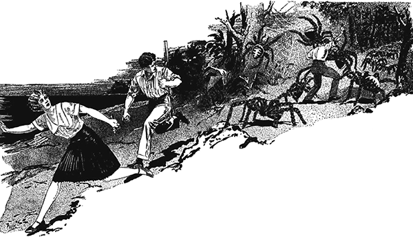 Арахна<br />(Большая книга рассказов о пауках) - i_027.png