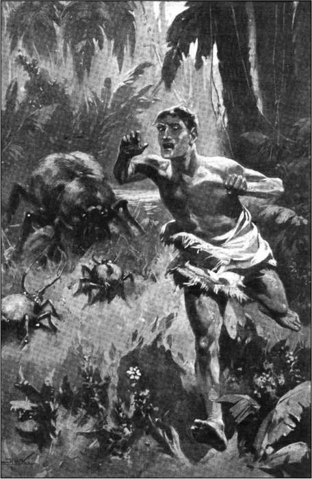 Арахна<br />(Большая книга рассказов о пауках) - i_031.jpg