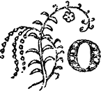 Сказки дедушки Матвея - i_009.png