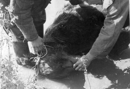 Попаданец в себя, 1963 год (СИ) - i_029.jpg