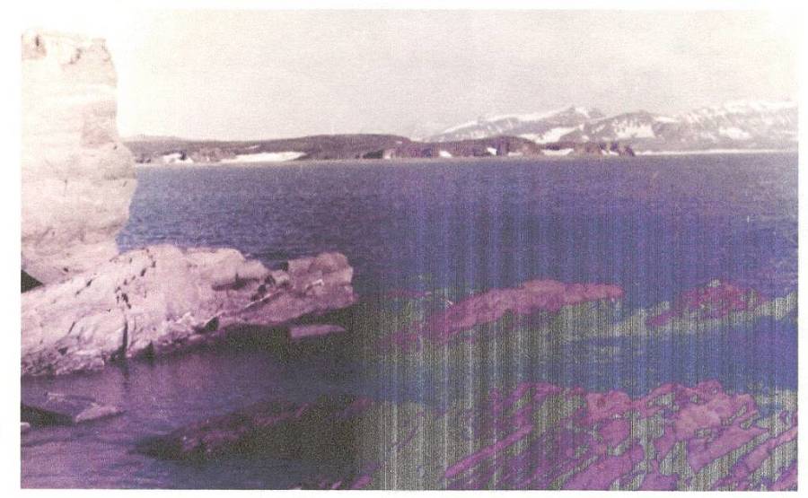 Мир глазами военно-морского гигиениста - i_009.jpg