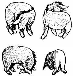 Winnie-The-Pooh and All, All, All - pic6.jpg
