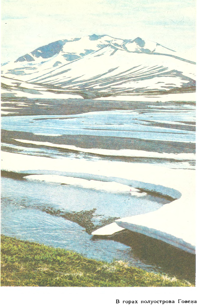 За белым кречетом - p0106.png
