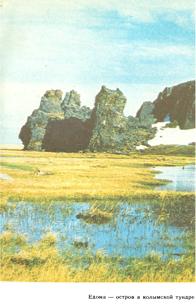 За белым кречетом - p0108.png