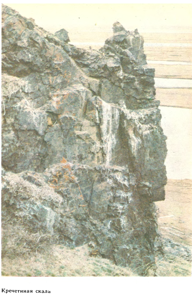 За белым кречетом - p0109.png