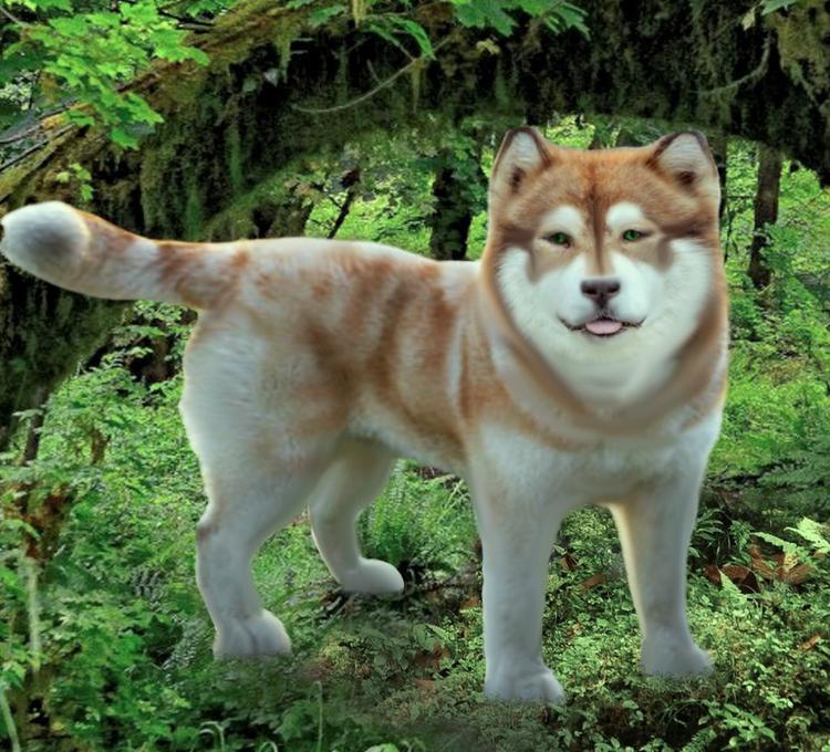 Друзья поневоле (СИ) - i_012.jpg