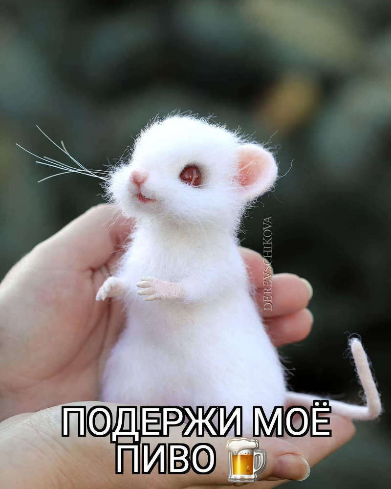 Инсомния (СИ) - _b5efddcc1eec4dcdb273c1a7dc5c77ef.jpg