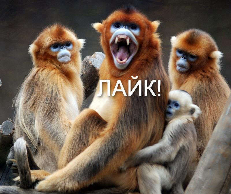 Дельта. Вернувшийся из будущего (СИ) - _1a5286fec800a5be6af17954f9279922