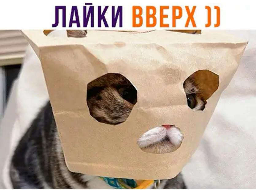 Новый Рал 2 (СИ) - _aebe0aad6729be45b8059813697b2183