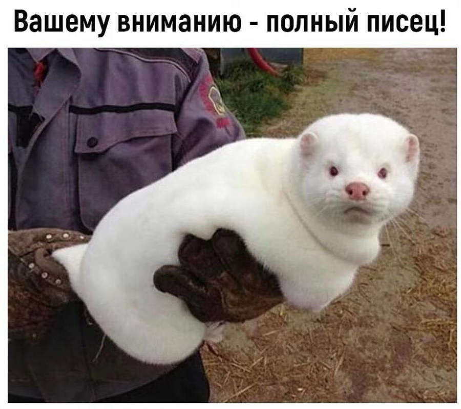 Новый Рал 2 (СИ) - _dc06d9cc810828ce34c392b0acda6549