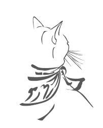 Тайна уличного кота - i_002.jpg