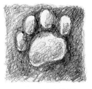 Кот Тихон, или Похищение Голландца - i_018.jpg