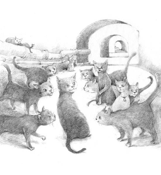Кот Тихон, или Похищение Голландца - i_021.jpg