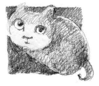 Кот Тихон, или Похищение Голландца - i_023.jpg