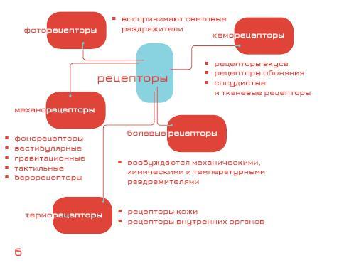 Мозг и бизнес - i_003.jpg