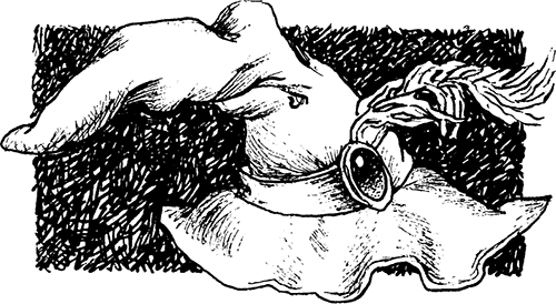 Темный Властелин Деркхольма - i_004.png