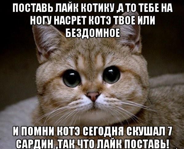 Приманка Хаоса 7 (СИ) - img_1