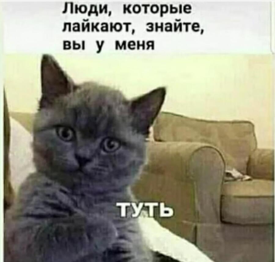 Приманка Хаоса 7 (СИ) - img_2