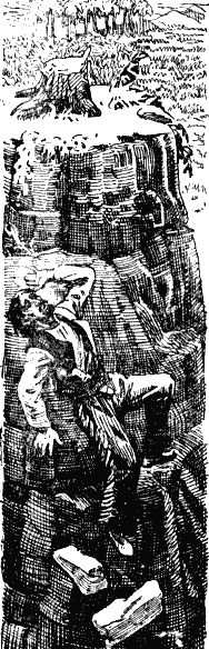 Затерянный мир (и) - i_08.png