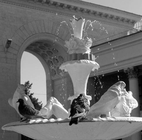 Игрок (СИ) - img_7