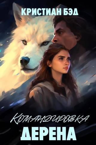 Командировка Дерена 2 (СИ) - img_33