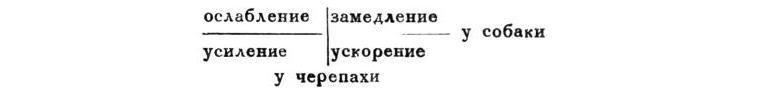 Павлов И.П. Полное собрание сочинений. Том 1 - img_227