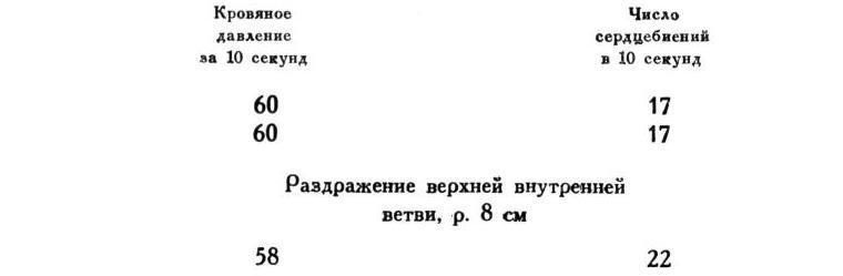 Павлов И.П. Полное собрание сочинений. Том 1 - img_146