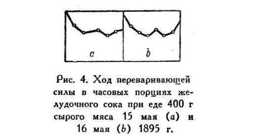 Павлов И.П. Полное собрание сочинений. Том 2. Часть 2 - img_14
