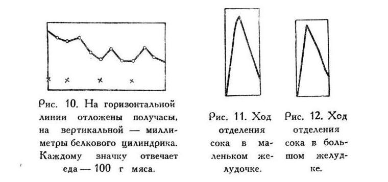 Павлов И.П. Полное собрание сочинений. Том 2. Часть 2 - img_33