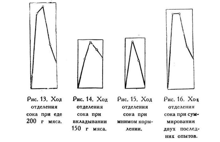Павлов И.П. Полное собрание сочинений. Том 2. Часть 2 - img_38