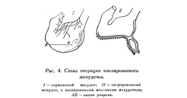 Павлов И.П. Полное собрание сочинений. Том 5 - img_20