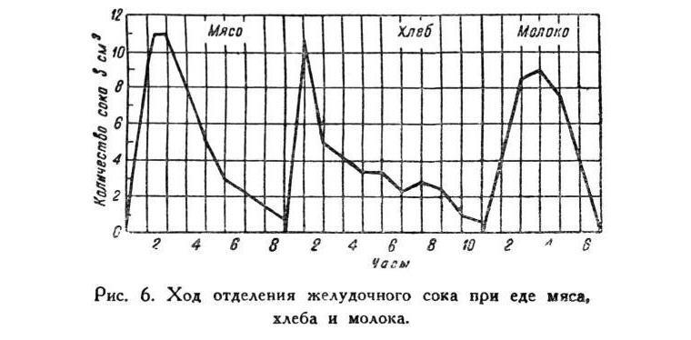 Павлов И.П. Полное собрание сочинений. Том 5 - img_22