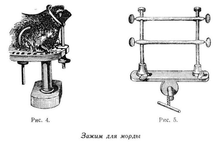 Павлов И.П. Полное собрание сочинений. Том 6 - img_15