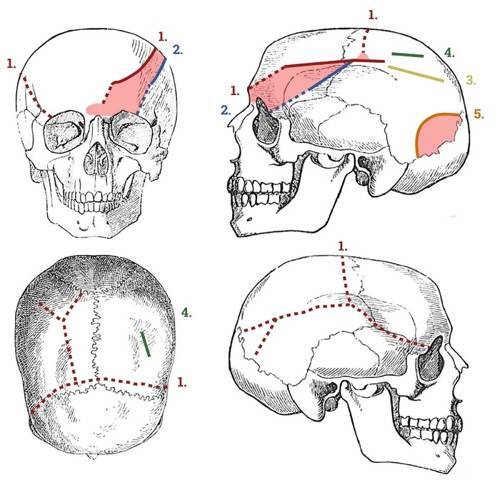 Средневековые битвы (СИ) - img_147