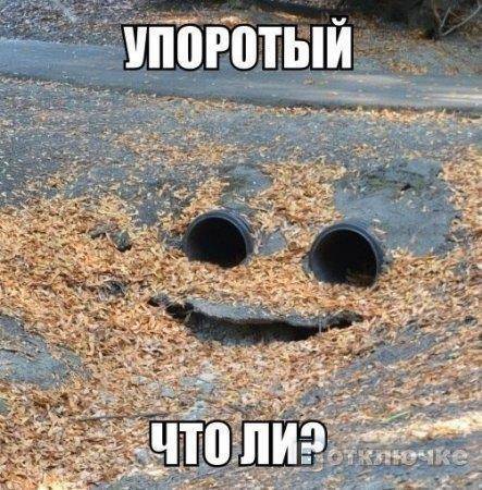 Античные битвы. Том I (СИ) - img_146