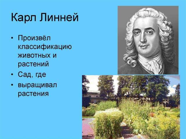 Стрела в печень (СИ) - img_16