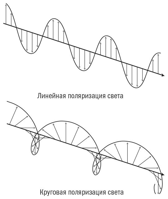 Необъятный мир: Как животные ощущают скрытую от нас реальность - img_5