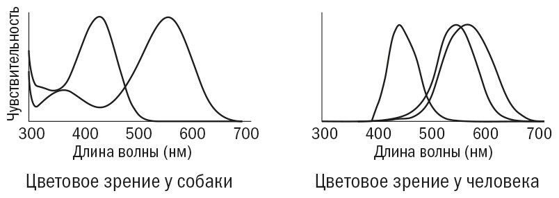 Необъятный мир: Как животные ощущают скрытую от нас реальность - img_3