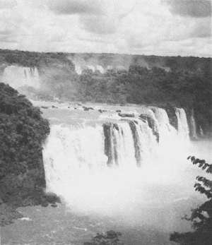 Рекорды в мире природы - Autogen_eBook_id73
