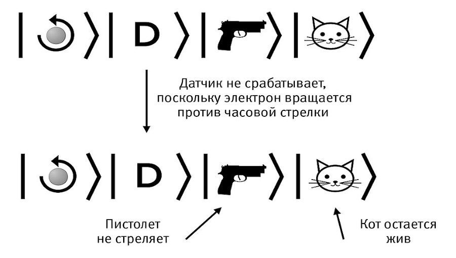 Это всё квантовая физика! Непочтительное руководство по фундаментальной природе всего - img_16