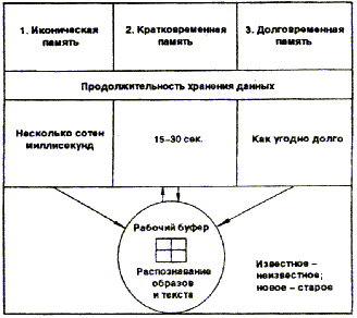 Техника тренировки памяти - Any2FbImgLoader12