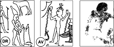 Новая Хронология Египта – I - iv19.png