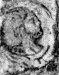 Новая Хронология Египта — II - vii92.jpg