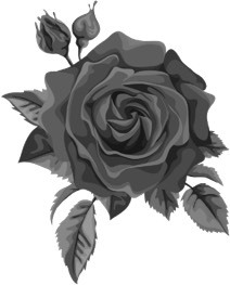 Плени меня (ЛП) - img_3