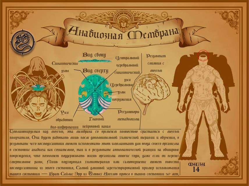 40к способов подохнуть. Том 4 (СИ) - img_9