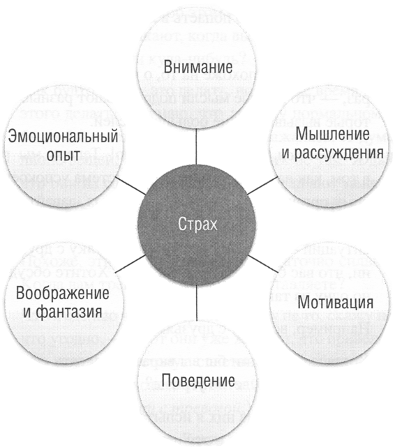 CFT. Терапия, сфокусированная на сострадании. Практическое руководство для клинических психологов - img_4