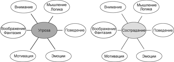 Терапия, сфокусированная на сострадании: отличительные особенности - img_12